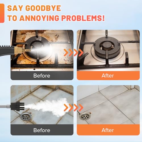 2500W Handheld Steam Cleaner for Home and Car